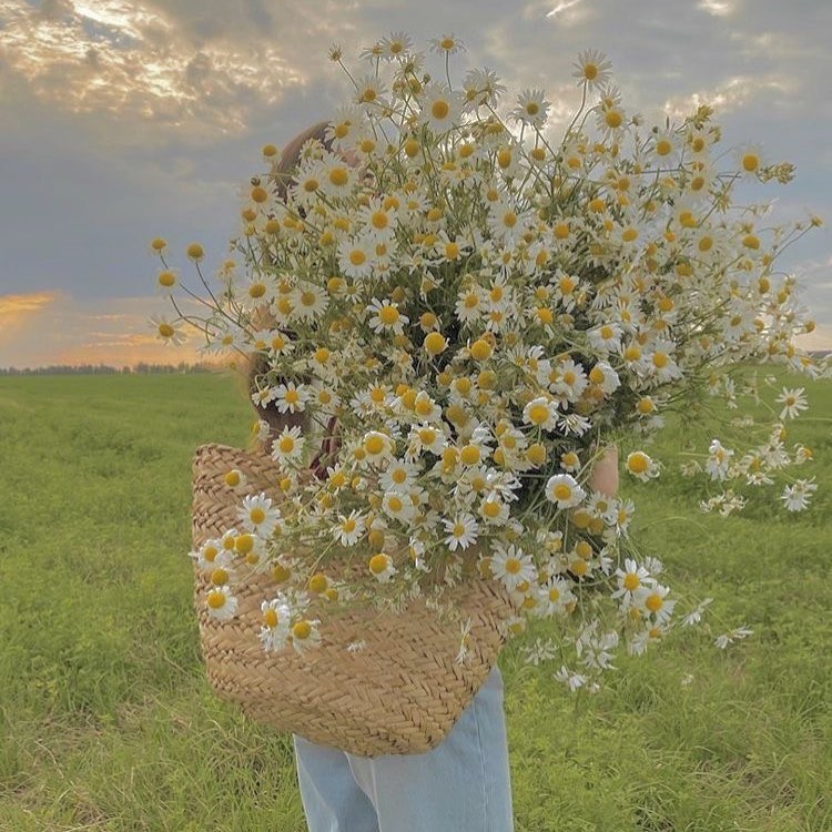 Lillelist nädalavahetust! 🌼

Pic via Pinterest

#juuni #minuluste #flowersofinstgram #suveootuses #lillepidu #inspirationalfriday #summervibes